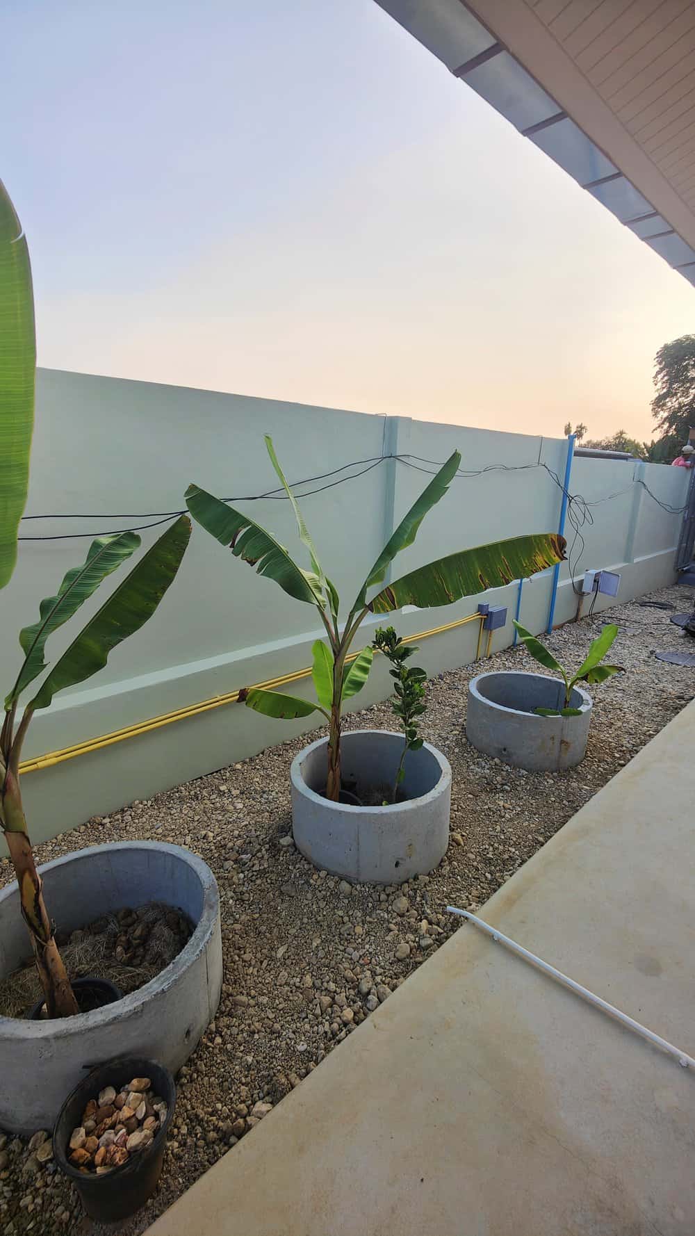 khao lak tiny house garden